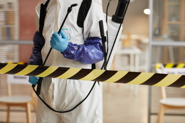 Professional Sewage Cleanup technician working in Heiskell, TN